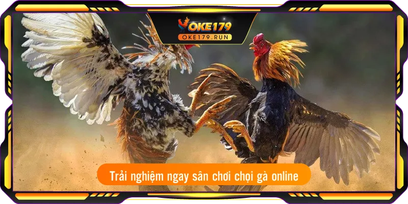 Trải nghiệm ngay sân chơi chọi gà online