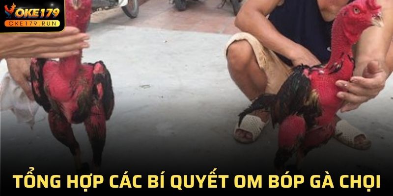 Bí Quyết Om Bóp Gà Chọi