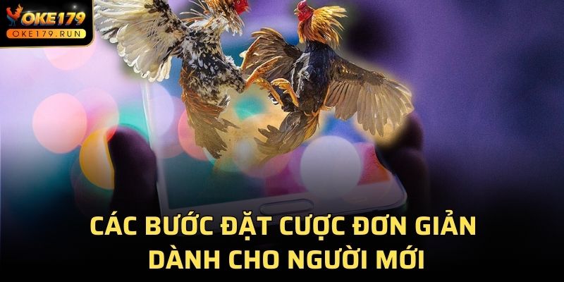 Các bước đặt cược đơn giản dành cho người mới