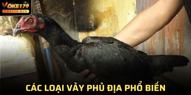 Các loại vảy phủ địa phổ biến nhất hàng đầu