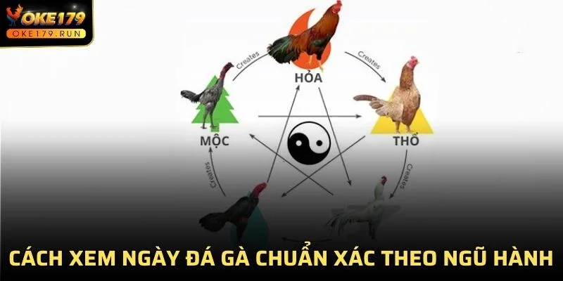 Các sư kê lâu năm hay chọn xem ngày dựa trên ngũ hành tương sinh