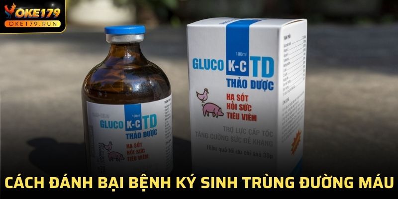 Cách đánh bại bệnh ký sinh trùng đường máu