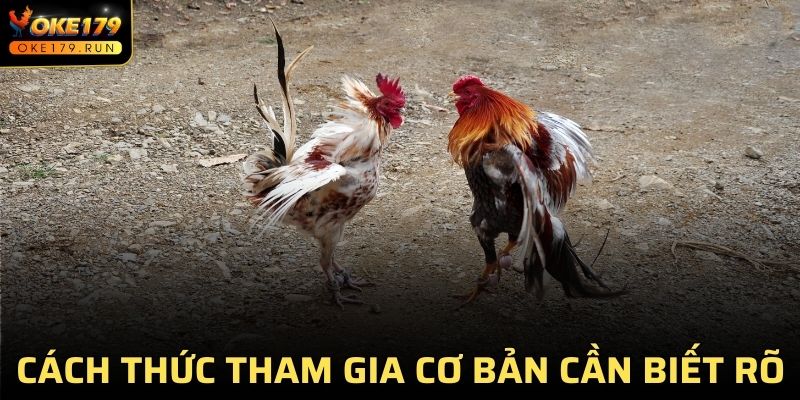 Cách thức tham gia cơ bản cần biết rõ