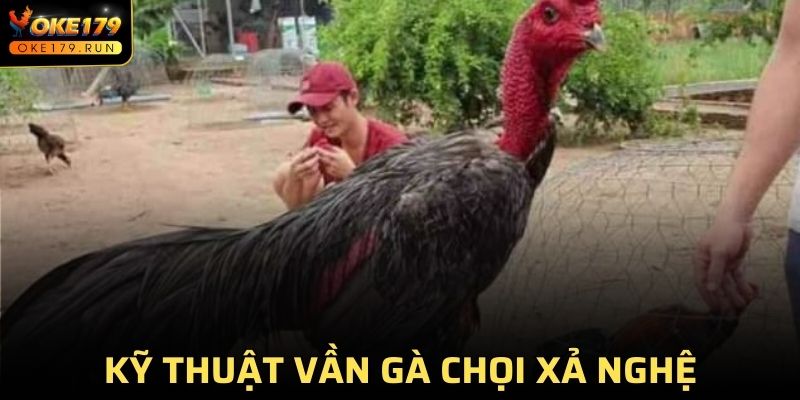 Chia sẻ kỹ thuật vần gà chọi bằng xả nghệ cực đơn giản