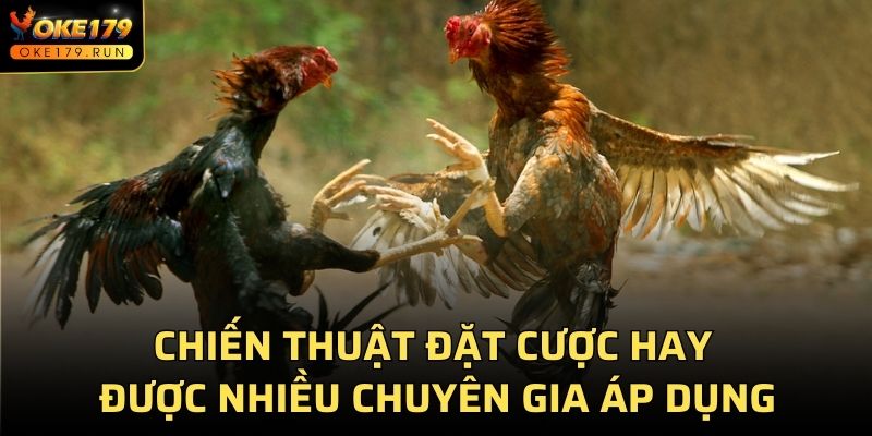 Chiến thuật đặt cược hay được nhiều chuyên gia áp dụng