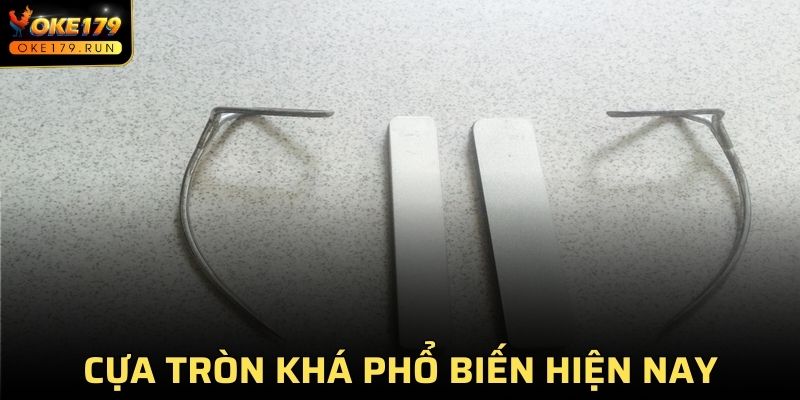 Cựa tròn khá phổ biến trong nhiều trận đấu lớn hiện nay