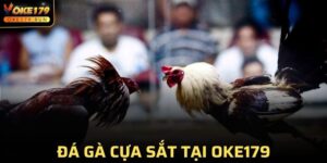 Đá Gà Cựa Sắt