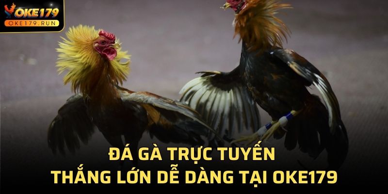 Đá Gà Trực Tuyến