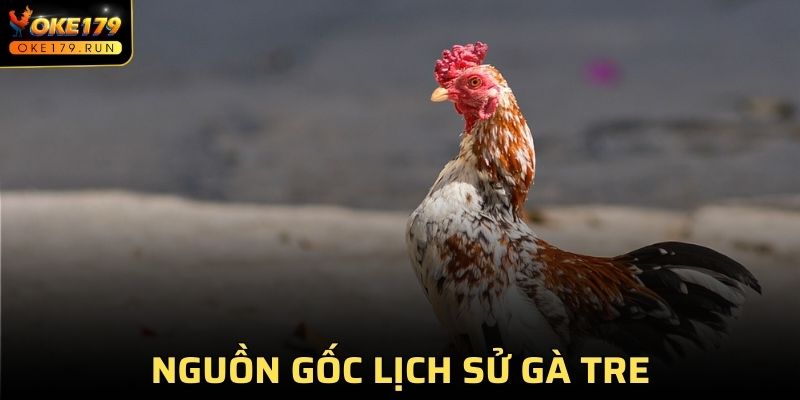 Gà tre đã có mặt từ lâu ở vùng đất Nam Bộ