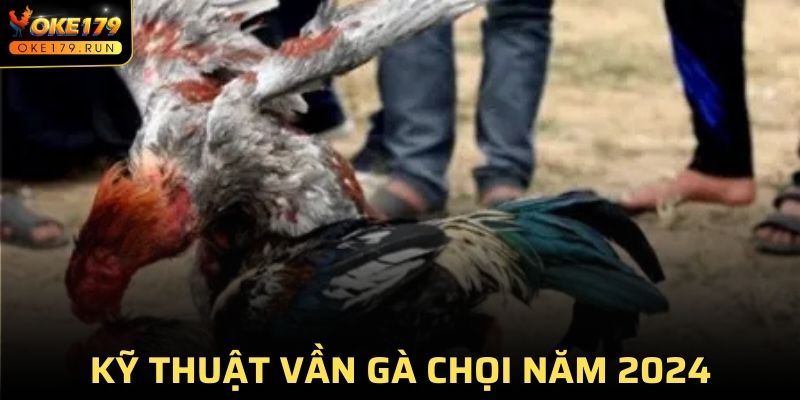 Giới thiệu kỹ thuật vần gà chọi hay nhất hiện tại cho thành viên