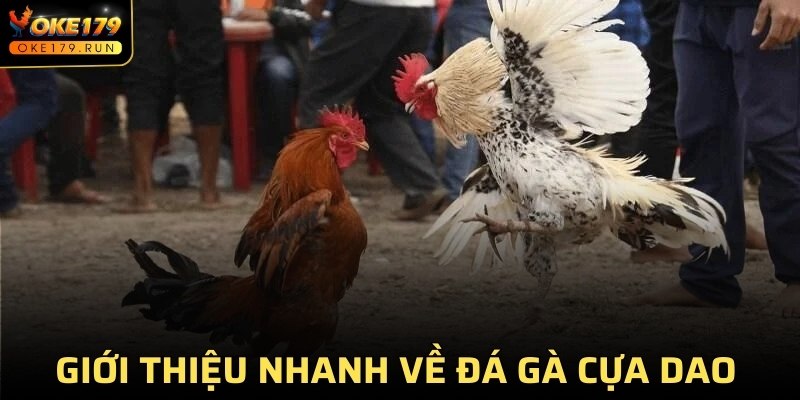 Giới thiệu nhanh về đá gà cựa dao