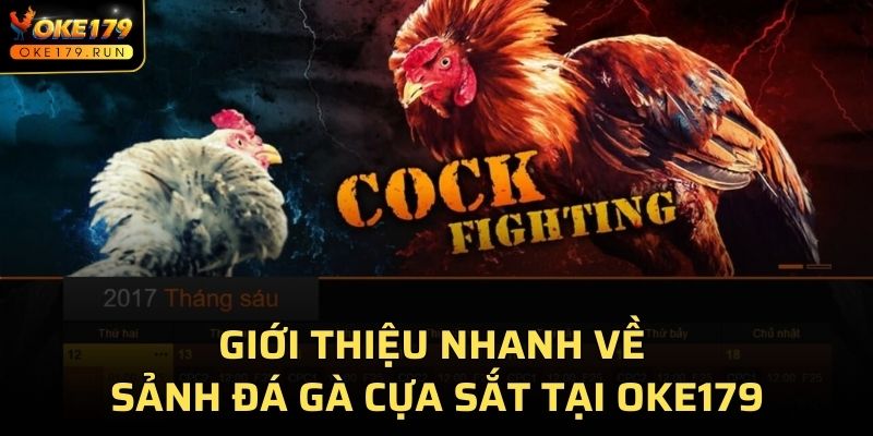 Giới thiệu nhanh về sảnh đá gà cựa sắt tại OKE179