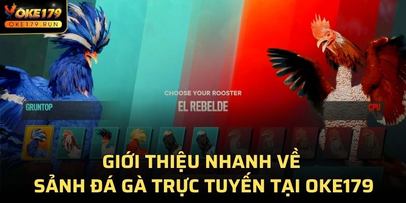 Giới thiệu nhanh về sảnh đá gà trực tuyến tại OKE179