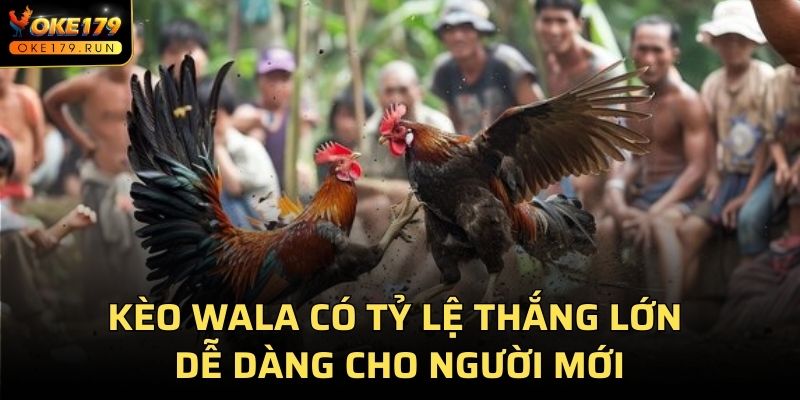 Kèo Wala có tỷ lệ thắng lớn dễ dàng cho người mới