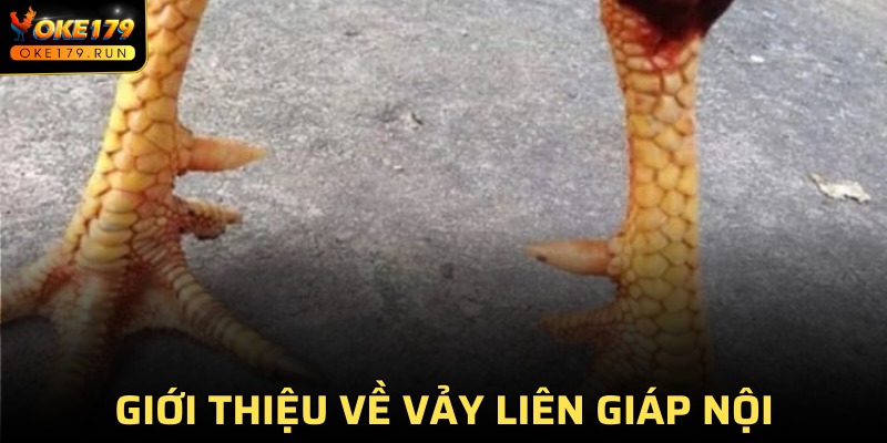 Khám phá chi tiết về vảy liên giáp hấp dẫn