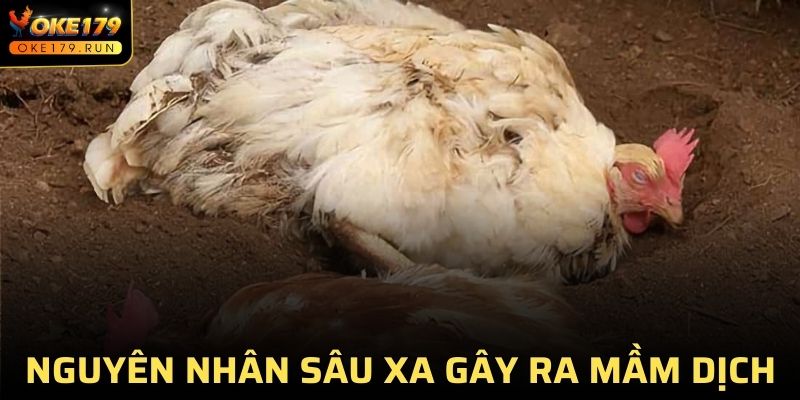 Khám phá nguyên nhân sâu xa gây ra mầm dịch