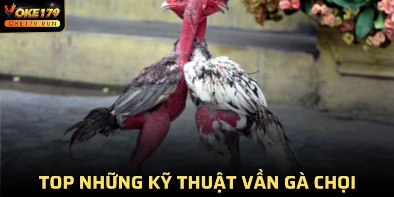 Kỹ Thuật Vần Gà Chọi