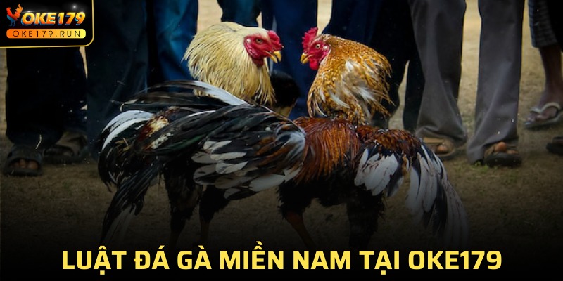 Luật Đá Gà Miền Nam