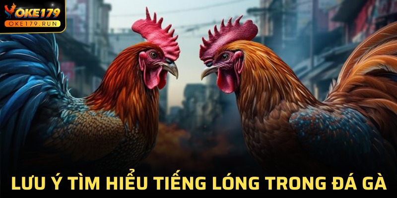 Lưu ý nhỏ khi áp dụng các từ tiếng lóng