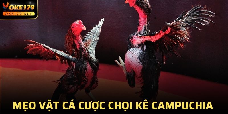 Mẹo vặt cá cược chọi kê Campuchia hiệu quả