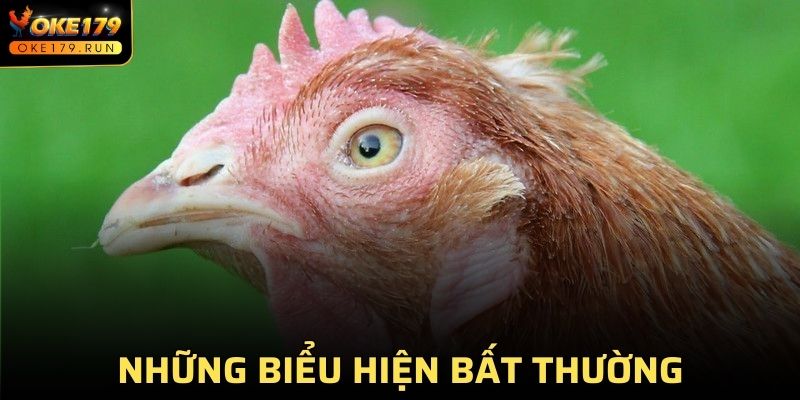 Những biểu hiện bất thường