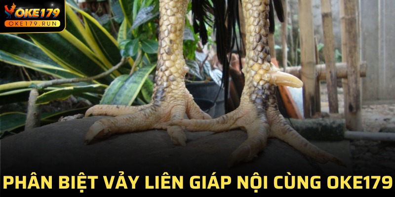 Phân biệt vảy liên giáp với các loại khác