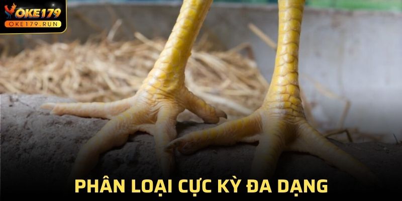 Phân loại cực kỳ đa dạng