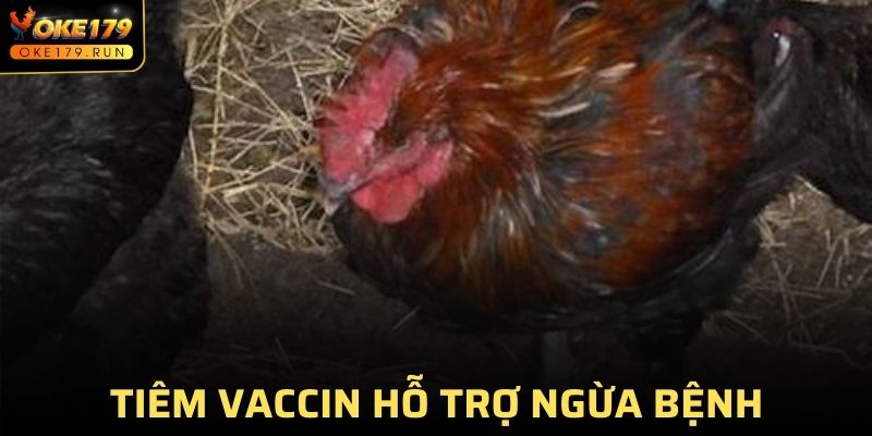 Phòng bằng cách tiêm vaccin