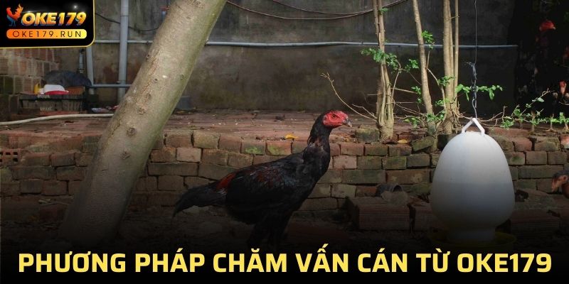 Phương pháp chăm vảy vấn cán từ OKE179