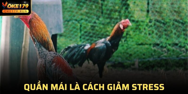 Quần áo thoải mái là cách giảm hiệu ứng căng thẳng