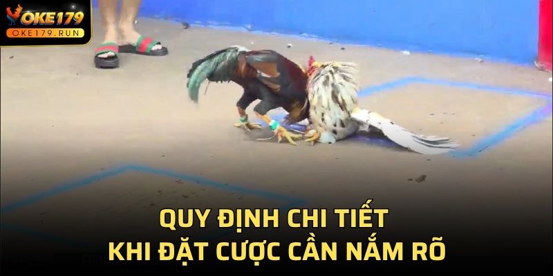 Quy định chi tiết khi đặt cược cần nắm rõ