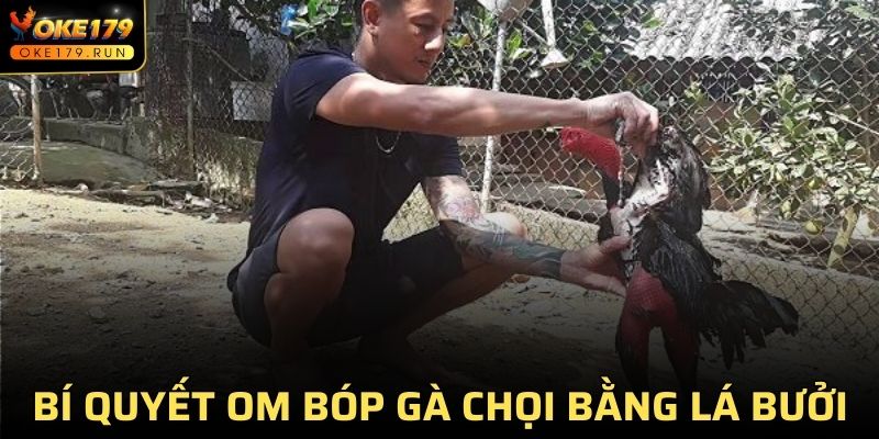 Sử dụng nước trà, lá bưởi để om bóp gà chọi hiệu quả