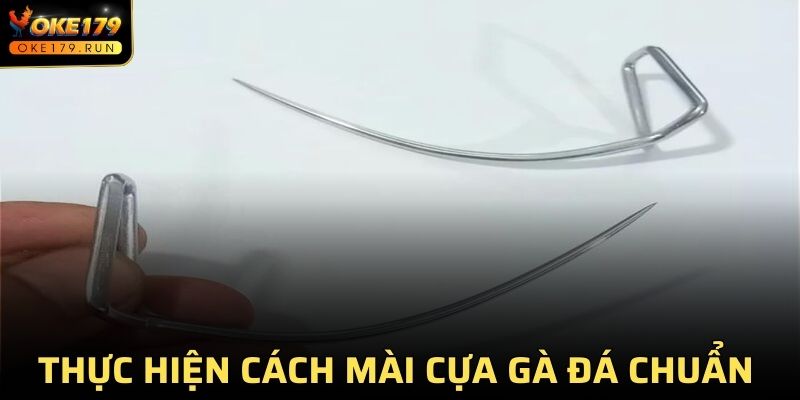 Thực hiện cách mài cựa gà đá chuẩn như chuyên gia