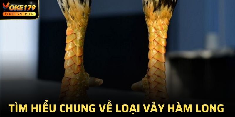 Tìm hiểu chung về loại vảy Hàm Long