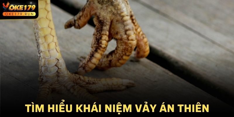 Tìm hiểu khái niệm vảy Án Thiên