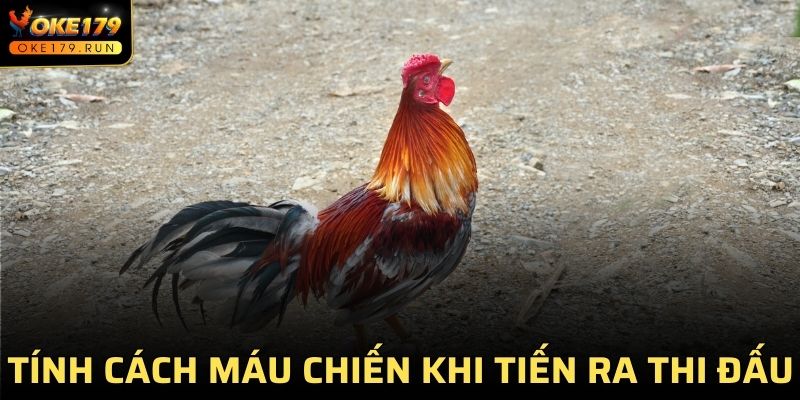 Tính cách máu chiến khi tiến ra thi đấu