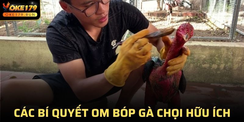 Top các bí quyết om bóp gà chọi hiệu quả nhất năm 2025