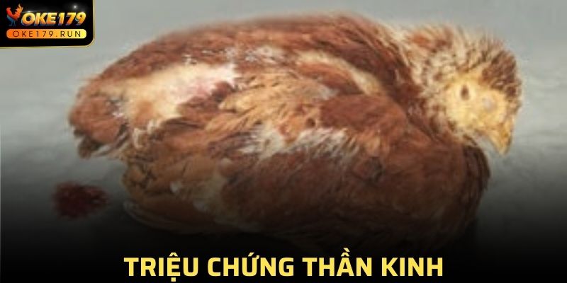 Triệu chứng do thần kinh