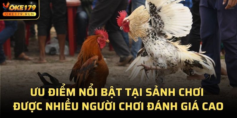 Ưu điểm nổi bật tại sảnh chơi được nhiều người chơi đánh giá cao