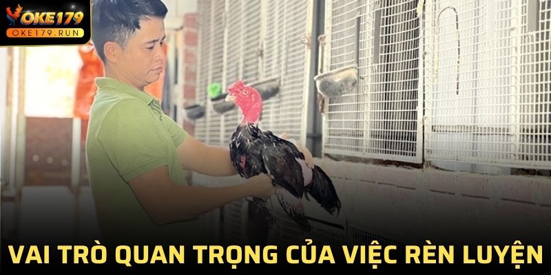 Vai trò quan trọng của việc rèn luyện