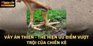 Vảy Án Thiên