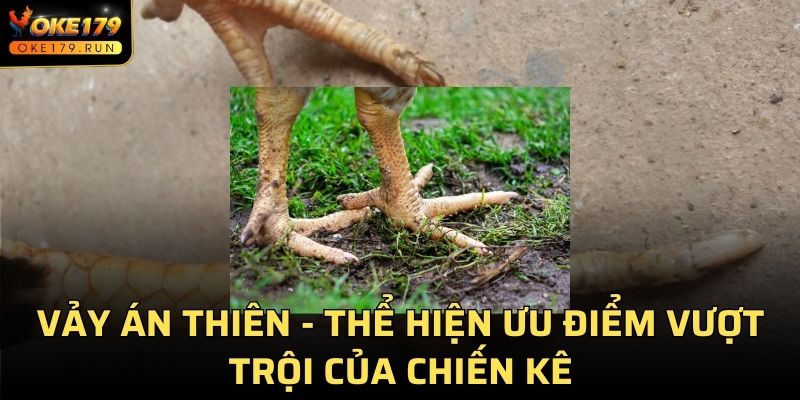 Vảy Án Thiên