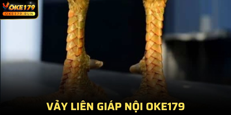 Vảy Liên Giáp Nội