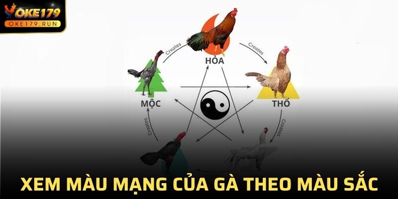 Xem màu mạng của gà theo màu sắc đơn giản